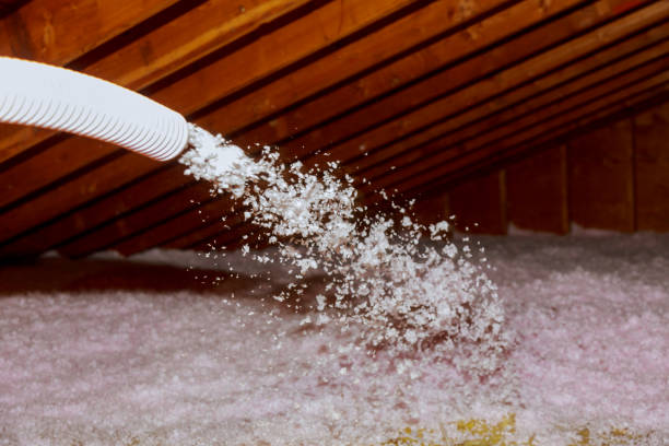 Best Insulation Replacement Services  in Berea, SC