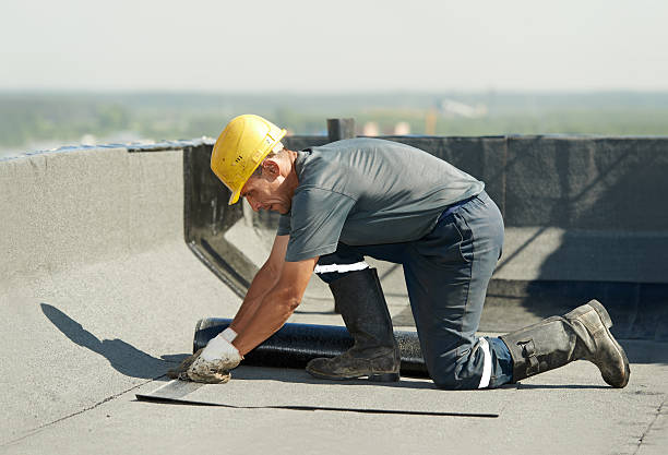 Best Professional Insulation Contractor  in Berea, SC