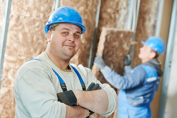Best Home Insulation Services  in Berea, SC