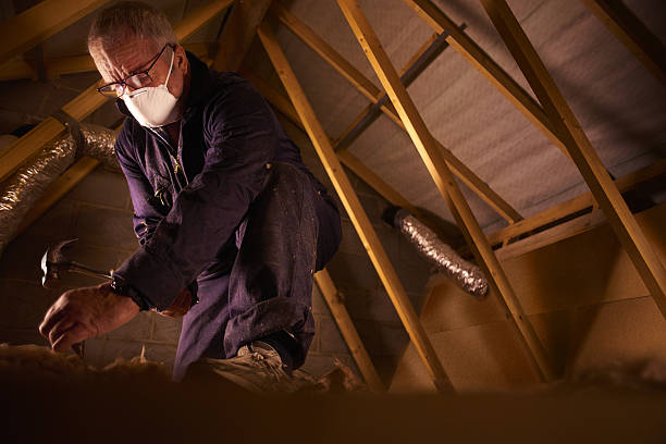 Insulation Contractors for Homes in Berea, SC